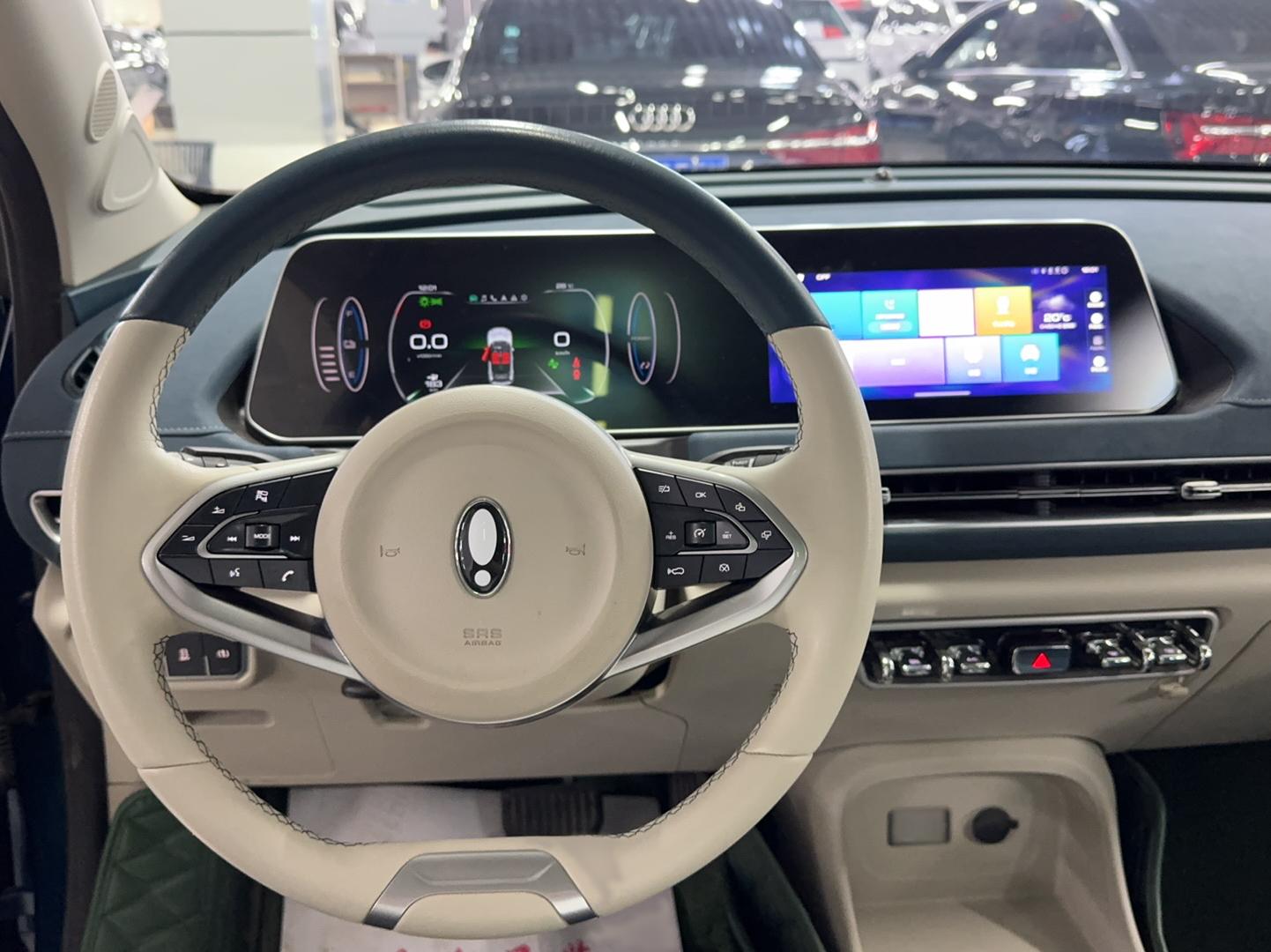 欧拉好猫 2021款 400km标准续航 维纳斯版 三元锂