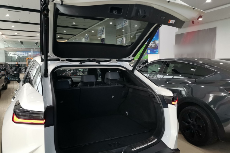 雷克萨斯RZ 2023款 450e 四驱纵享版机舱底盘23