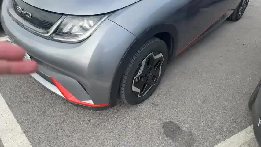 比亚迪 海豚 2021款 405km 自由版实拍1