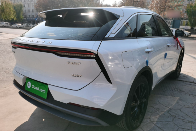 启辰大V 2021款 260T 天王版车身外观7