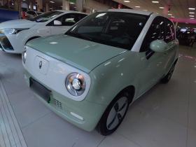 欧拉黑猫 2021款 301km 萌宠版