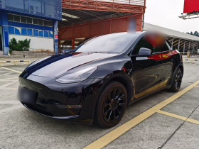 特斯拉 Model Y 2021款 标准续航后驱版