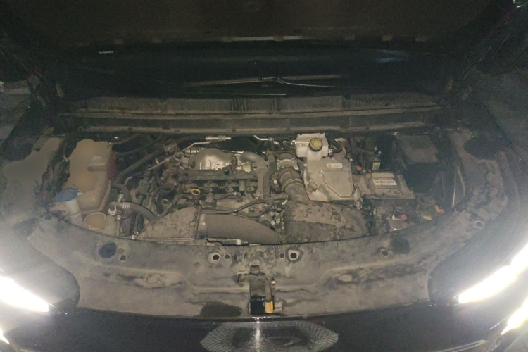 东风风行 星海V9 2024款 1.5TD 200km 青云梯系列 尊贵型局部细节24