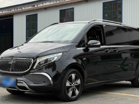 奔驰V级 2020款 V 260 L 长轴距豪华版