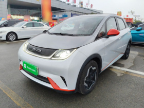 比亚迪 海豚 2021款 405km 自由版