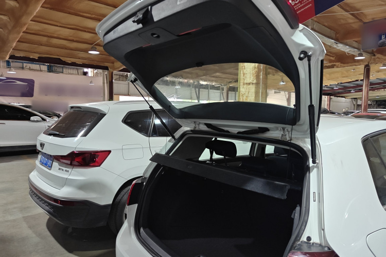 大众 高尔夫·纯电 2020款 驰机舱底盘23