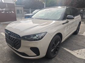 林肯 冒险家 2024款 1.5T 两驱木兰特别混动版