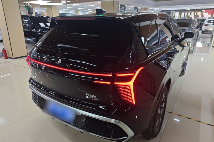 红旗HS3 2024款 1.5T 善为版车身外观7
