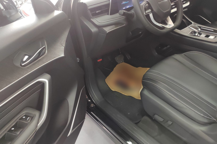 启辰大V 2022款 260T 黑马版·爱豆中控内饰20