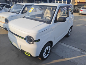 吉利银河 熊猫 2025款 210km 元气熊