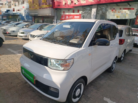 五菱汽车 宏光MINIEV 2022款 自在款 磷酸铁锂