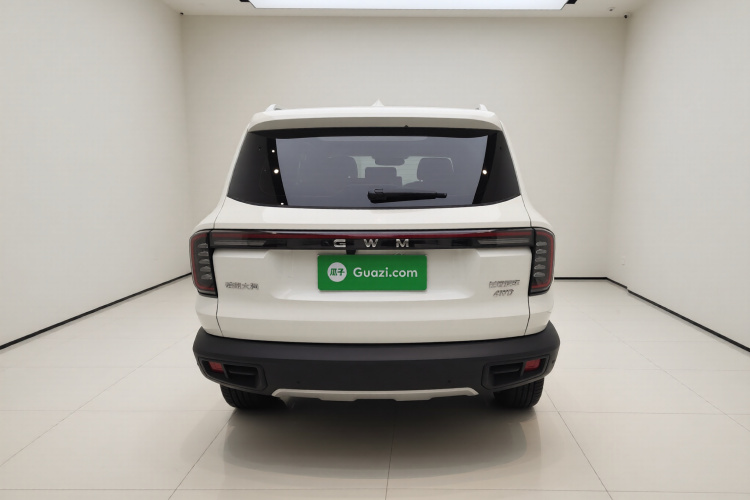 哈弗大狗 2026款 2.0T DCT中华田园犬版车身外观6