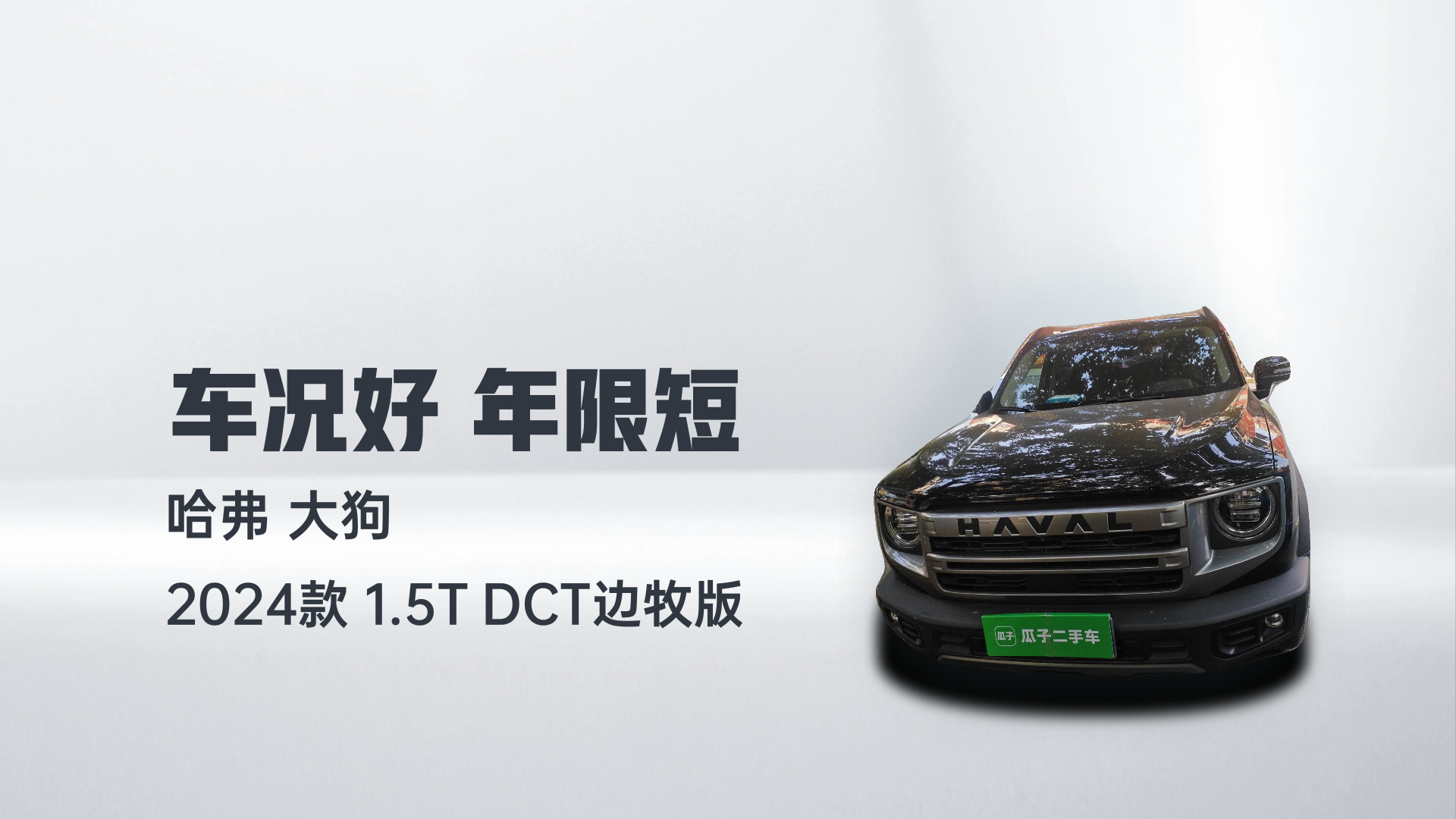哈弗大狗 2024款 1.5T DCT边牧版解读1