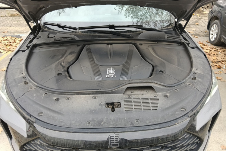 比亚迪 唐新能源 2025款 DM-i 115KM 云辇旗舰型局部细节24