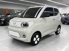 五菱汽车 宏光MINIEV 2024款 第三代 215km 进阶版