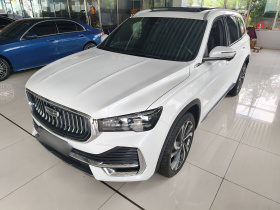 吉利汽车 星越L 2024款 2.0TD 高功自动两驱天际版