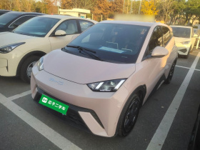 比亚迪 海鸥 2023款 自由版