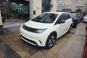 比亚迪 海豚 2023款 420km 自由版