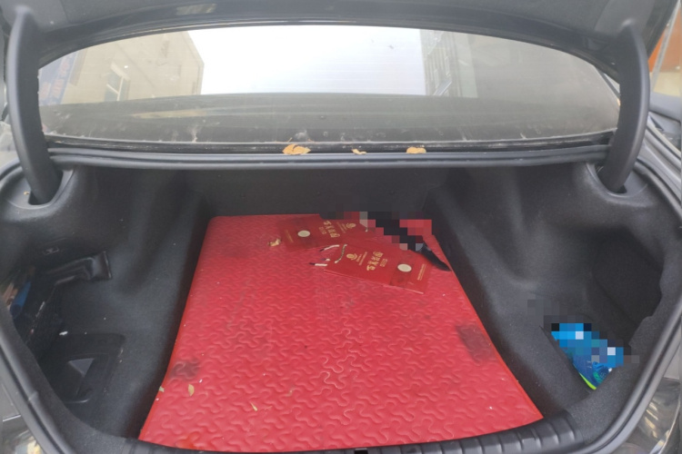 宝马5系 2018款 525Li M运动套装局部细节23