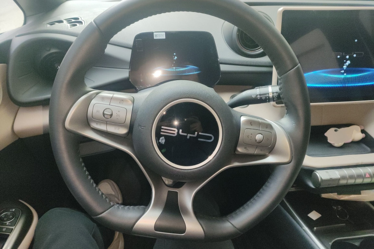 比亚迪 海豚 2023款 420km 时尚版局部细节13