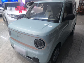 吉利银河 2024款 熊猫mini 200km 耐力熊