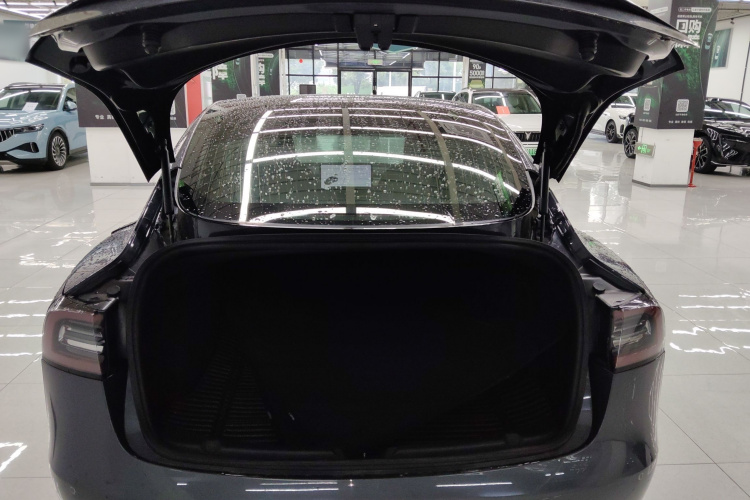特斯拉 Model 3 2019款 标准续航后驱升级版机舱底盘23