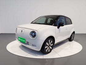 欧拉黑猫 2021款 351km 标准型