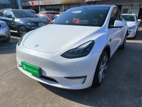 特斯拉 Model Y 2021款 改款二 长续航全轮驱动版