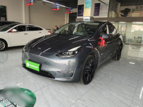 特斯拉 Model Y 2021款 长续航全轮驱动版