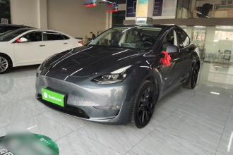 特斯拉 Model Y 2021款 长续航全轮驱动版