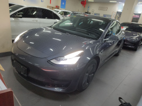 特斯拉 Model 3 2019款 标准续航后驱升级版