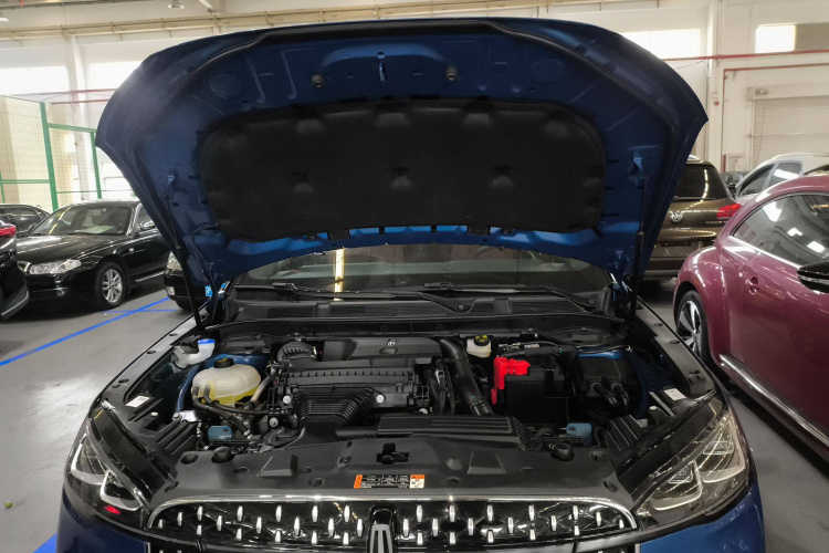 林肯 冒险家 2023款 2.0T 四驱尊雅版机舱底盘24