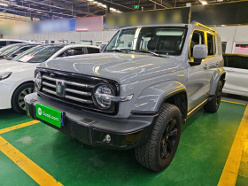 坦克300 2021款 城市版 2.0T 很有型