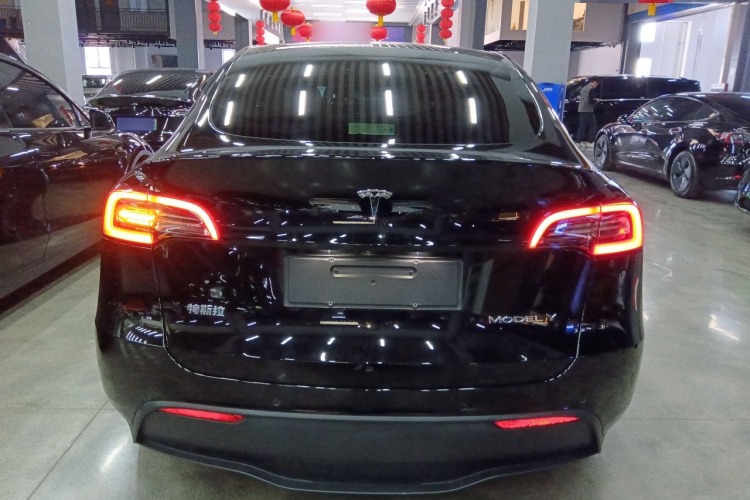 特斯拉 Model Y 2021款 标准续航后驱版车身外观6004