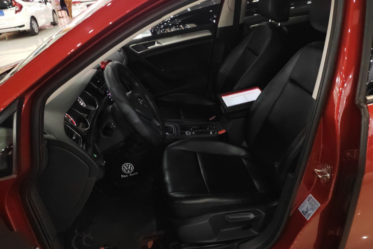 大众 高尔夫 2019款 1.6L 自动时尚型 国V局部细节19