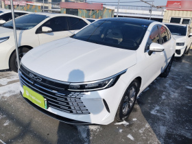 比亚迪 驱逐舰05 2024款 荣耀版 DM-i 55KM 豪华型