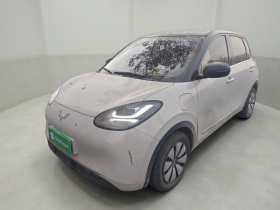 五菱汽车 五菱缤果 2024款 333km 悦享款