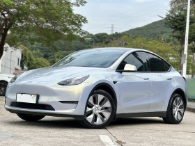 特斯拉 Model Y 2021款 标准续航后驱版