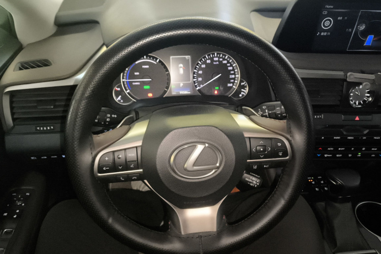 雷克萨斯RX 2020款 改款 450hL 四驱典雅版7座局部细节13