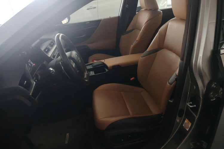 雷克萨斯ES 2018款 300h 卓越版 国VI中控内饰19