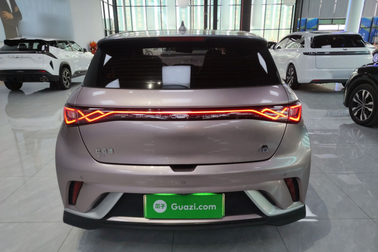 比亚迪 海豚 2021款 401km 骑士版车身外观6004