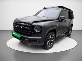 哈弗H9 2024款 2.4T 柴油四驱极境版