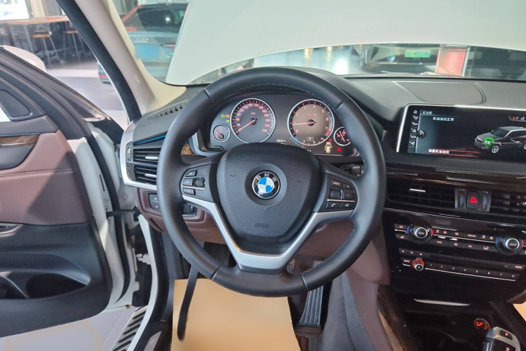 宝马X5(进口) 2017款 xDrive35i 典雅型局部细节13