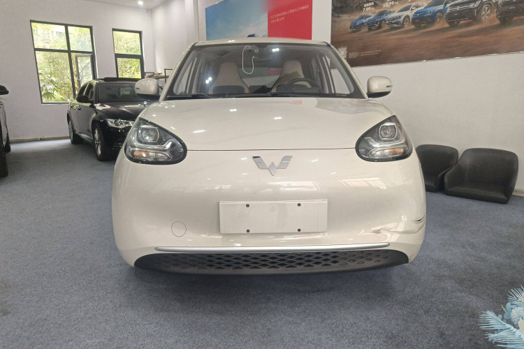 五菱汽车 五菱缤果 2023款 203km 轻享款车身外观6001