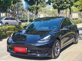 特斯拉 Model 3 2021款 标准续航后驱升级版