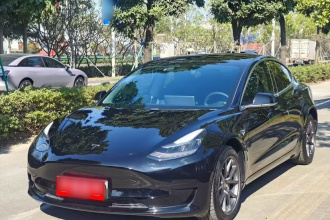 特斯拉 Model 3 2020款 标准续航后驱升级版
