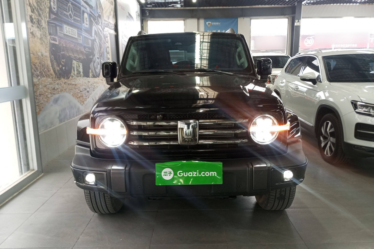 坦克300 2023款 城市版 2.0T 很有型车身外观2