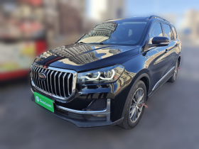 SWM斯威汽车 SWM斯威G05 2021款 PRO 1.5T 自动豪华型 7座