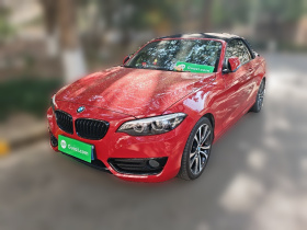 宝马2系(进口) 2019款 225i 敞篷轿跑车 运动设计套装