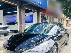 特斯拉 Model 3 2021款 标准续航后驱升级版 3D6